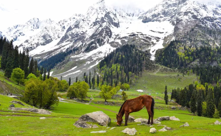 Jammu Srinagar Sonmarg Pahalgam Gulmarg