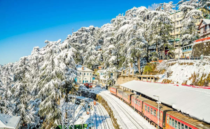 Shimla