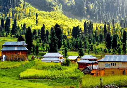 Bangus Valley