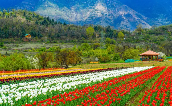 Kashmir valley near Srinagar, covered by our Amritsar to Srinagar taxi and Kashmir tour
