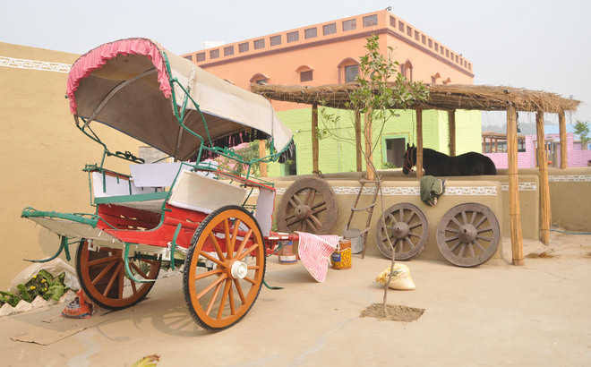 Village Tour Amritsar Royal Route Travel Village Tour Amritsar Royal Route Travel